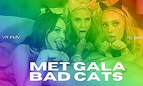 met gala bad cats vr porn pmv by private jet privatejet