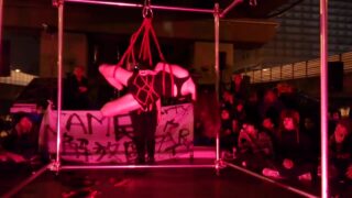 shibari show